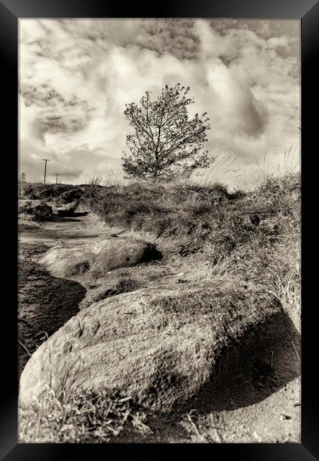 Norland Moor Sepia Framed Print by Glen Allen