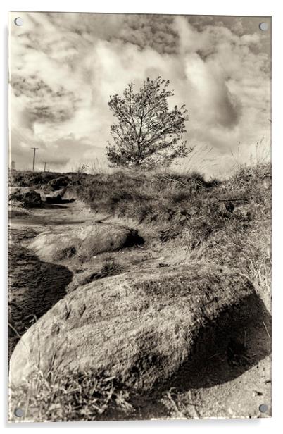 Norland Moor Sepia Acrylic by Glen Allen