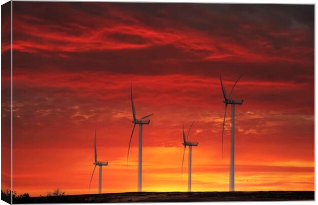 Sustainable Sunset Canvas Print by Glen Allen