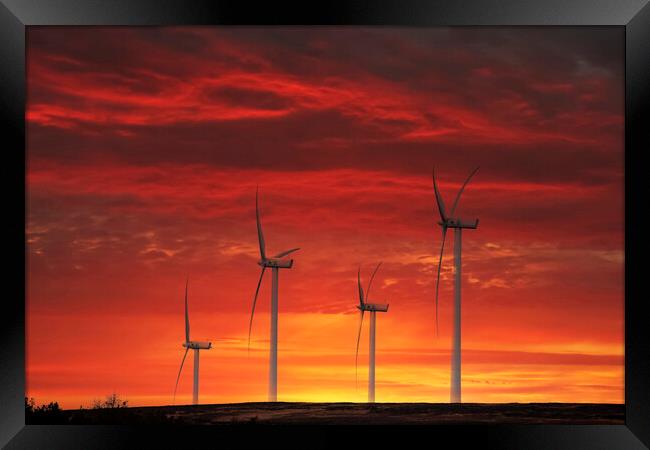 Sustainable Sunset Framed Print by Glen Allen