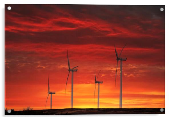 Sustainable Sunset Acrylic by Glen Allen