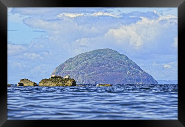 Ailsa Craig and seals Framed Print by Allan Durward Photography
