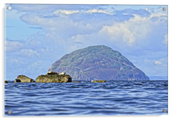 Ailsa Craig and seals Acrylic by Allan Durward Photography