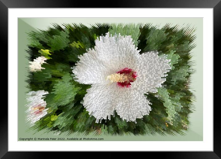 White flower puzzle Framed Mounted Print by Marinela Feier