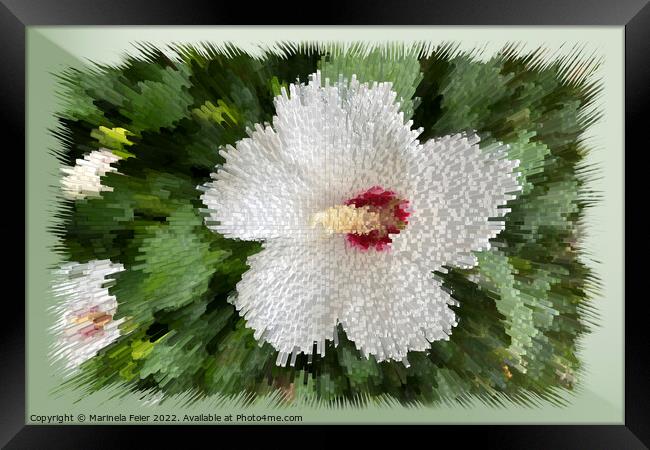 White flower puzzle Framed Print by Marinela Feier