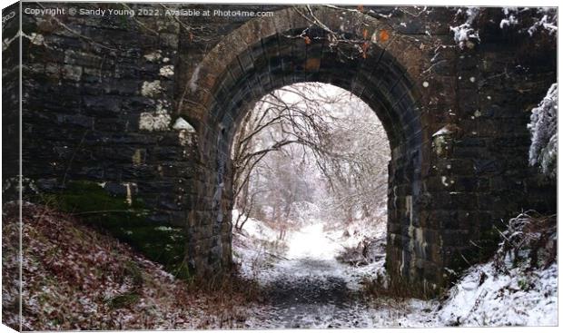 The Serene Beauty of a Disused Bridge Canvas Print by Sandy Young