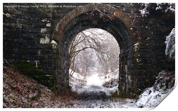 The Serene Beauty of a Disused Bridge Print by Sandy Young