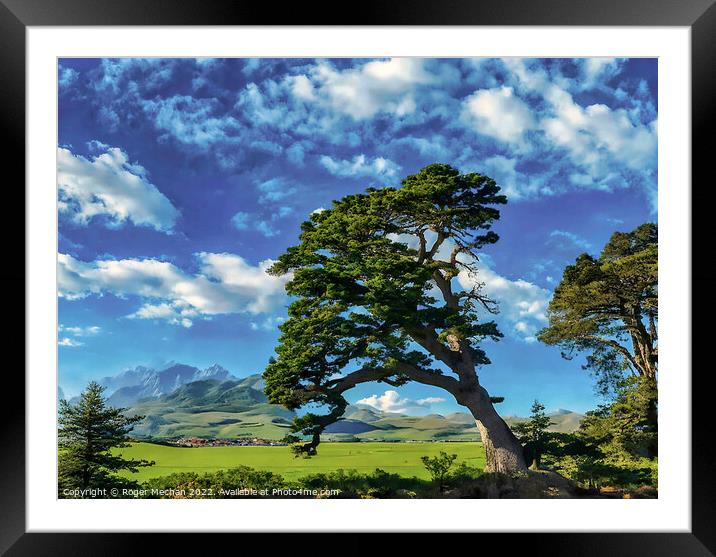 Windswept Pine on Isle of Man Framed Mounted Print by Roger Mechan