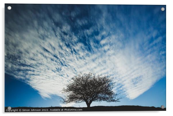 tree and cloud Acrylic by Simon Johnson