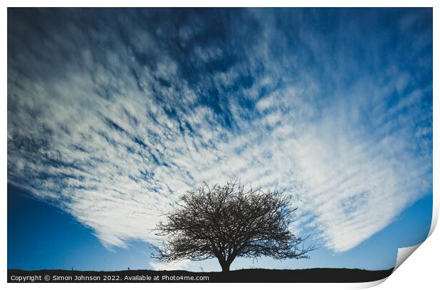 tree and cloud Print by Simon Johnson