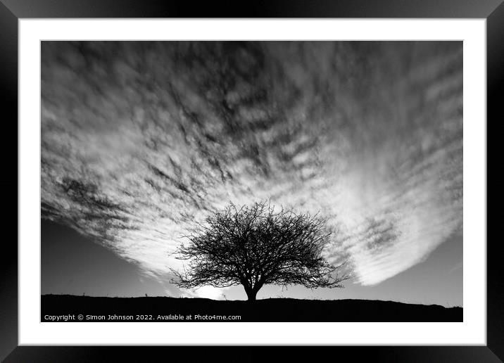 Isolated  tree Framed Mounted Print by Simon Johnson