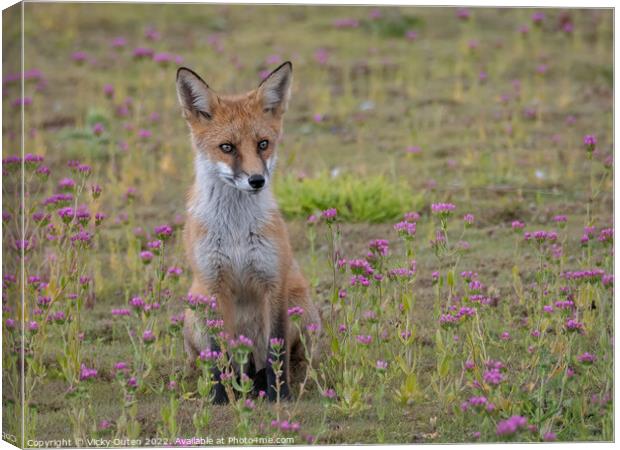 A fox cub sitting on the pink flowers Canvas Print by Vicky Outen