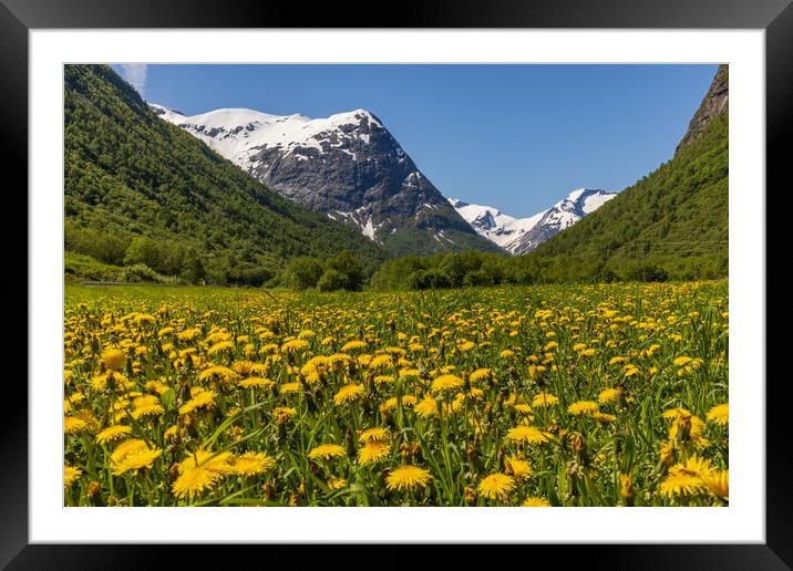 Norway meadows Framed Mounted Print by Thomas Schaeffer