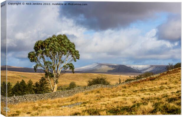 The Famous Brecon Beacons Eucalyptus Tree Canvas Print by Nick Jenkins