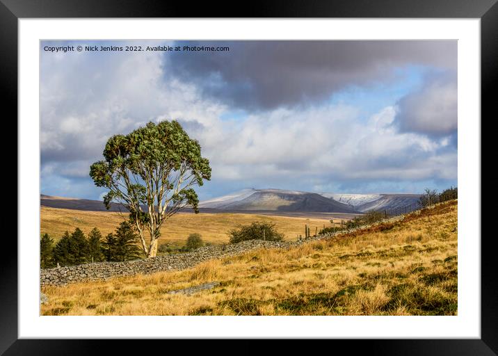 The Famous Brecon Beacons Eucalyptus Tree Framed Mounted Print by Nick Jenkins