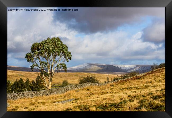 The Famous Brecon Beacons Eucalyptus Tree Framed Print by Nick Jenkins