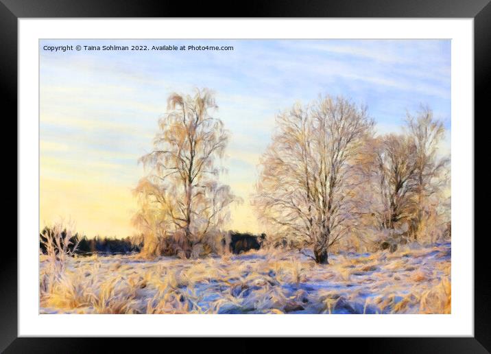 Morning Sunlight on Frosted Trees on Christmas Day Framed Mounted Print by Taina Sohlman