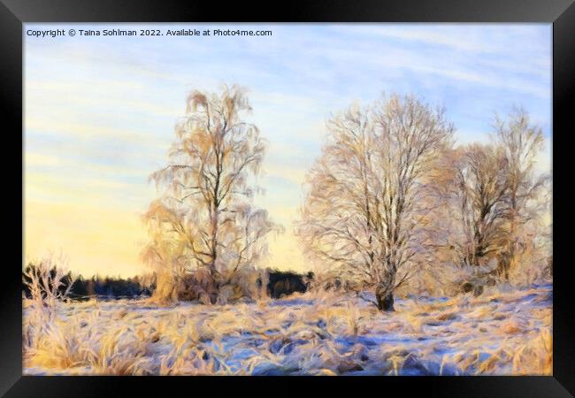 Morning Sunlight on Frosted Trees on Christmas Day Framed Print by Taina Sohlman