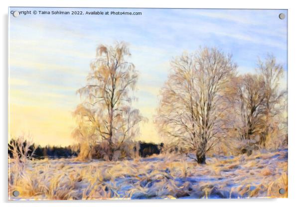 Morning Sunlight on Frosted Trees on Christmas Day Acrylic by Taina Sohlman