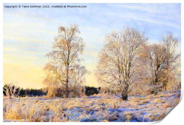 Morning Sunlight on Frosted Trees on Christmas Day Print by Taina Sohlman