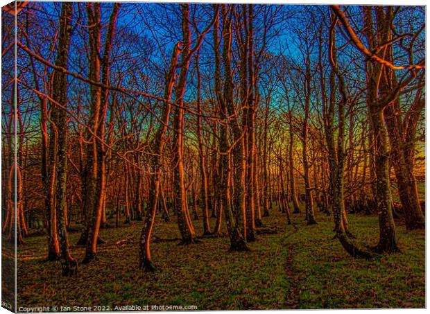 Majestic Winter Woodland Sunset Canvas Print by Ian Stone