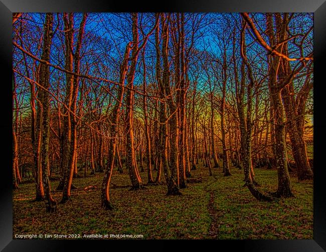 Majestic Winter Woodland Sunset Framed Print by Ian Stone