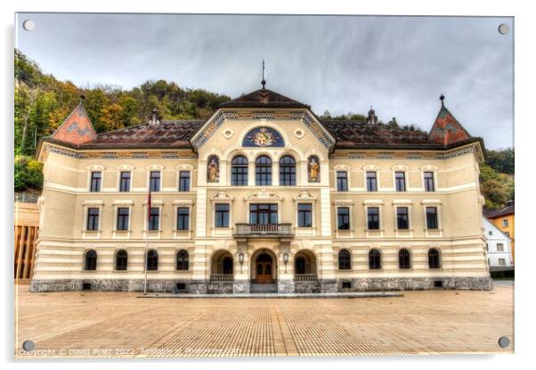 Government House Of Liechtenstein  Acrylic by David Pyatt