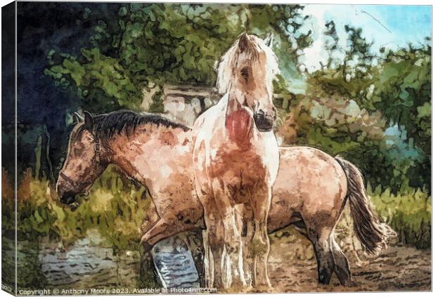 Horses In the Field. Canvas Print by Anthony Moore