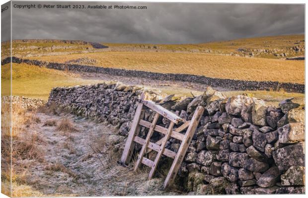Winter walking from Langcliffe to Settle in the Yorkshire Dales Canvas Print by Peter Stuart