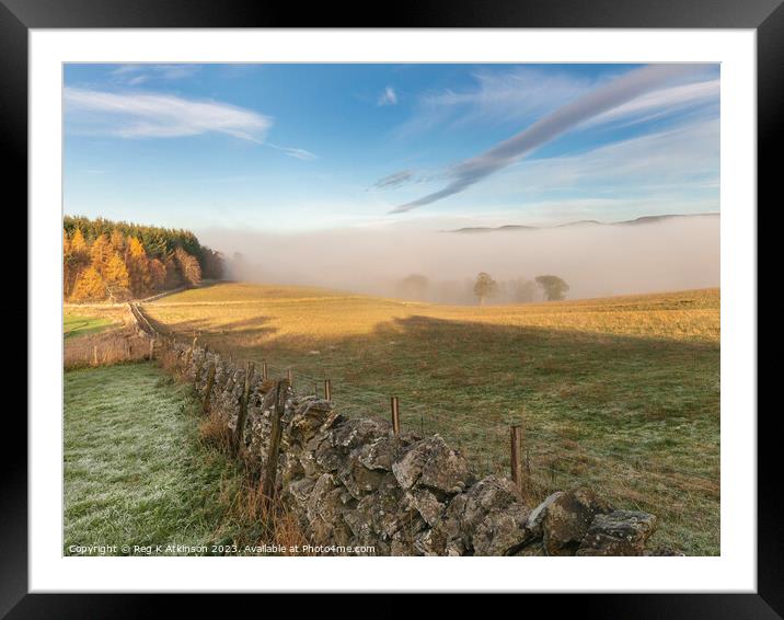 Tweed Valley Mist Framed Mounted Print by Reg K Atkinson