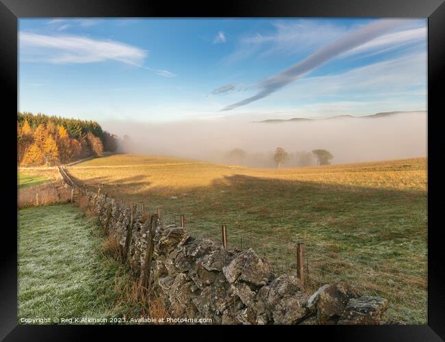 Tweed Valley Mist Framed Print by Reg K Atkinson