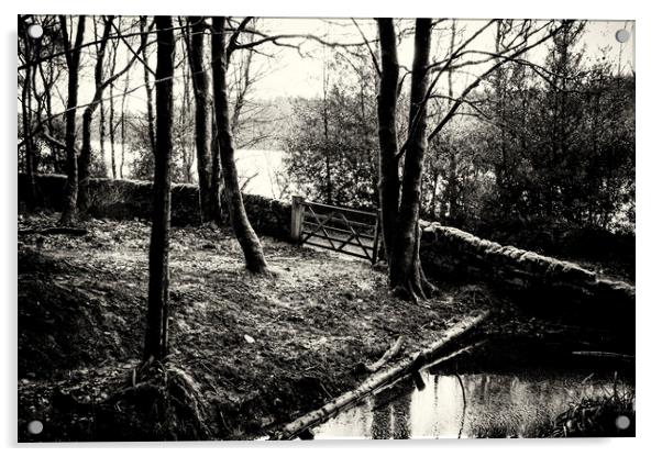 Ogden Water Woodland - Mono Acrylic by Glen Allen