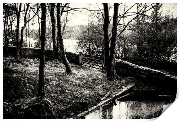 Ogden Water Woodland - Mono Print by Glen Allen