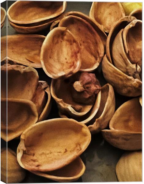 Pistachio Shells Canvas Print by Glen Allen