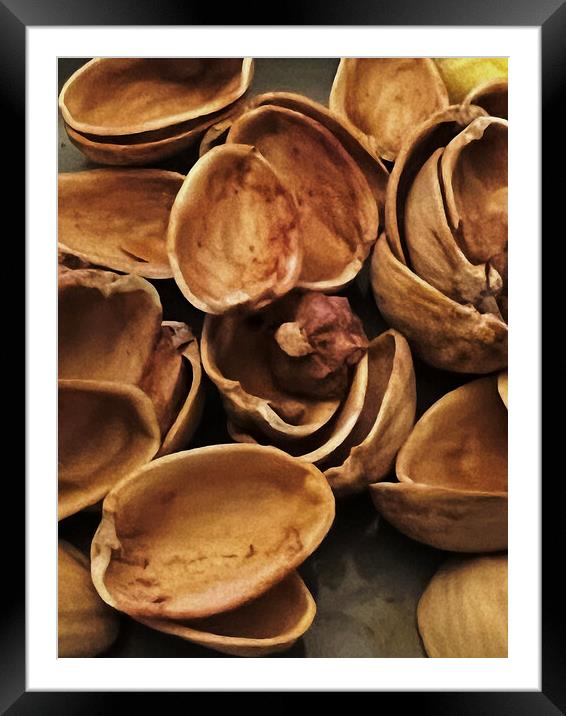 Pistachio Shells Framed Mounted Print by Glen Allen