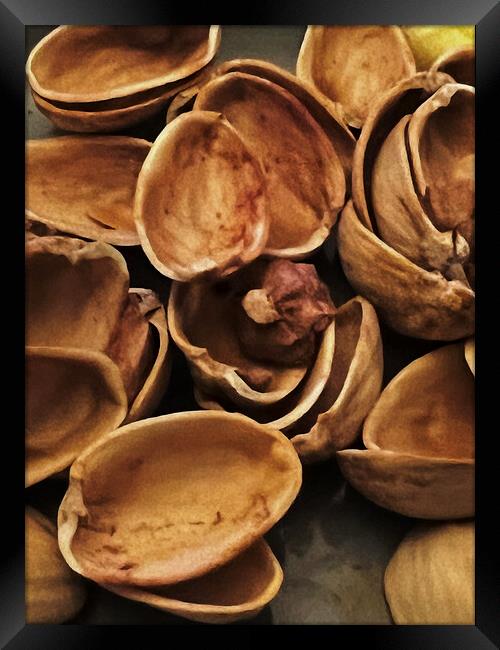 Pistachio Shells Framed Print by Glen Allen