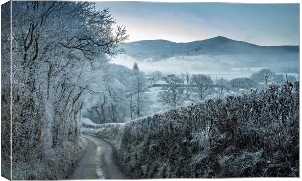 Welsh Winter Walk Canvas Print by Clive Ashton