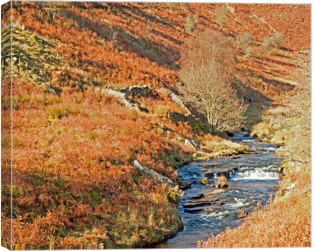 Upper Grwyne Valley and Grwyne River Black Mountains  Canvas Print by Nick Jenkins