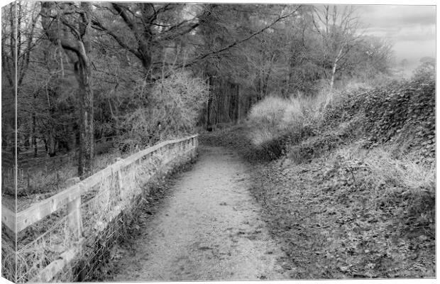 Oden Water Country Path - Mono Canvas Print by Glen Allen