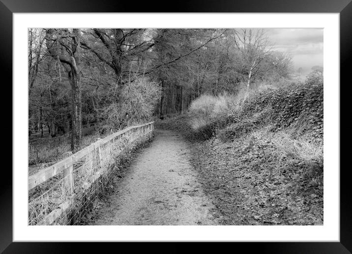 Oden Water Country Path - Mono Framed Mounted Print by Glen Allen