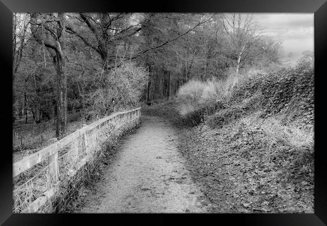 Oden Water Country Path - Mono Framed Print by Glen Allen