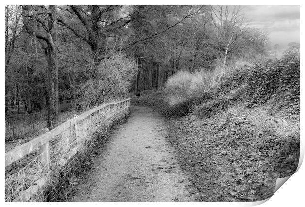 Oden Water Country Path - Mono Print by Glen Allen