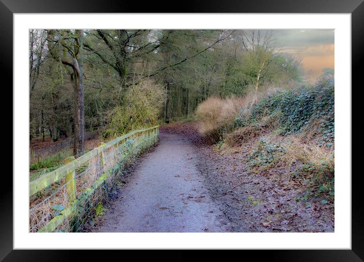 Ogden Water Country Path Framed Mounted Print by Glen Allen