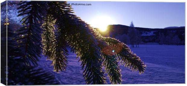 Majestic Winter Sunrise in Scotland Canvas Print by Sandy Young