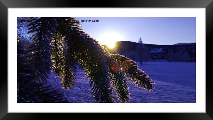 Majestic Winter Sunrise in Scotland Framed Mounted Print by Sandy Young