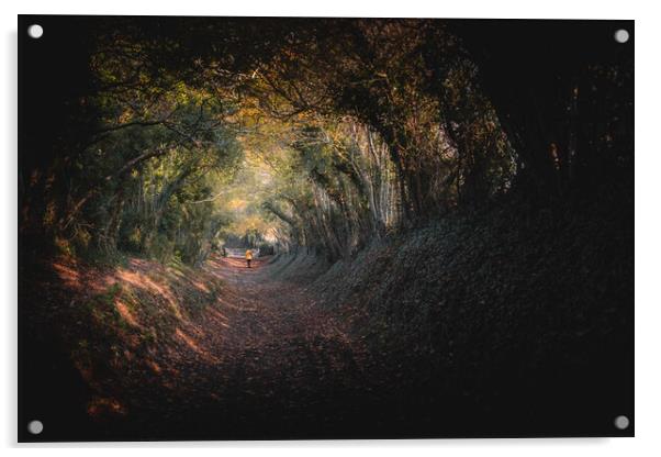 Halnaker Tree Tunnel Acrylic by Mark Jones