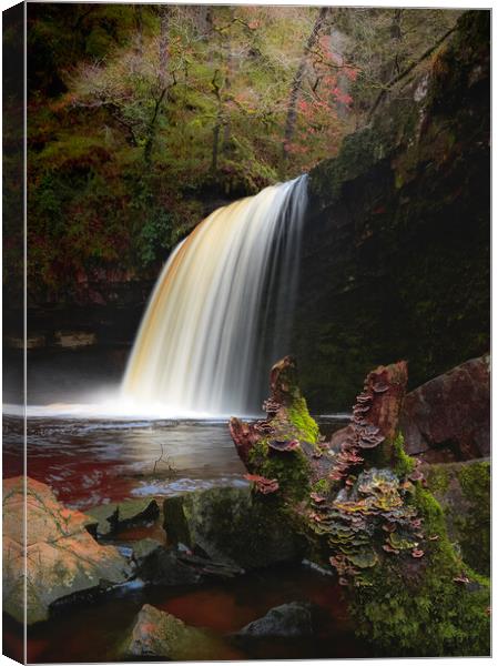 Winter waterfall  Canvas Print by Colin Duffy