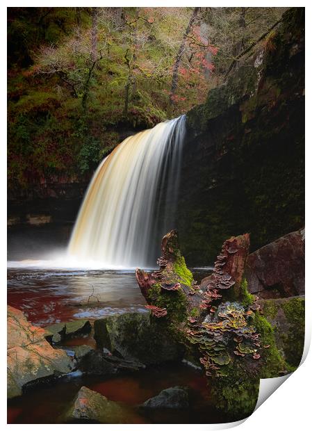 Winter waterfall  Print by Colin Duffy