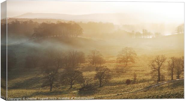 Petworth Park Winter's Sunrise Canvas Print by Chester Tugwell