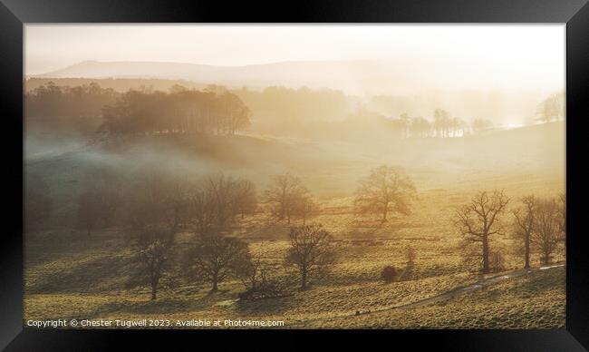 Petworth Park Winter's Sunrise Framed Print by Chester Tugwell